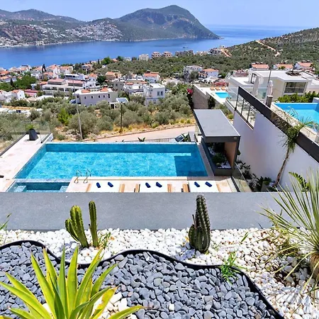 Villa Luxury - 1108